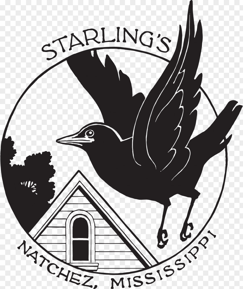 Hotel Starlings (Natchez Campus) Bed And Breakfast Accommodation Royal PNG