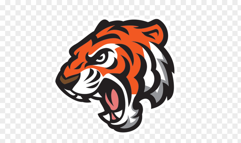 Tiger Mascot PNG