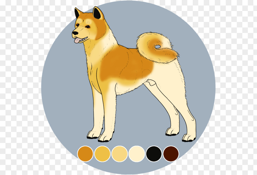 American Kennel Club Finnish Spitz Shiba Inu Whiskers Puppy Dog Breed PNG