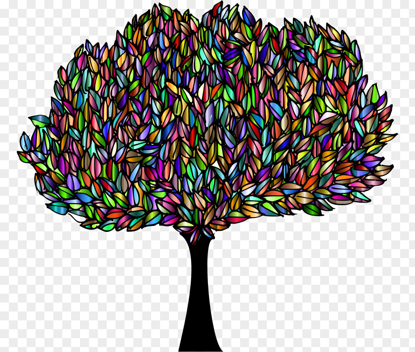 Banyan Graphic Clip Art Image Tree Leaf PNG