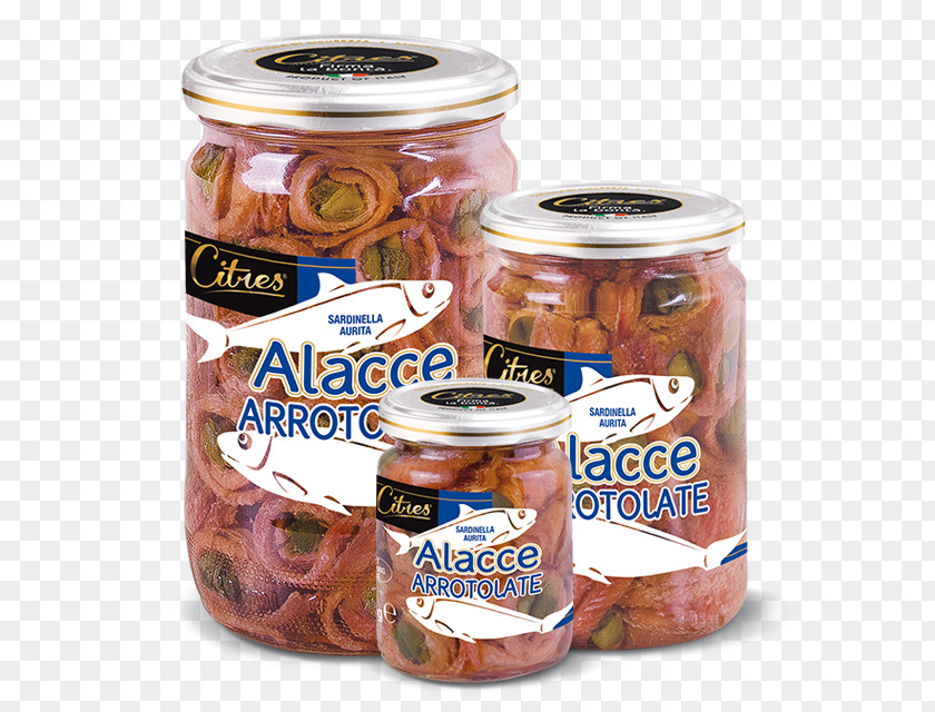 Food Preservation Can Citres S.p.a. Anchovy PNG