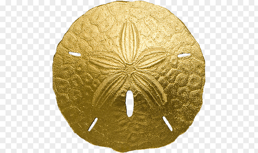 Gold Sea Urchin Sand Dollar Coin PNG