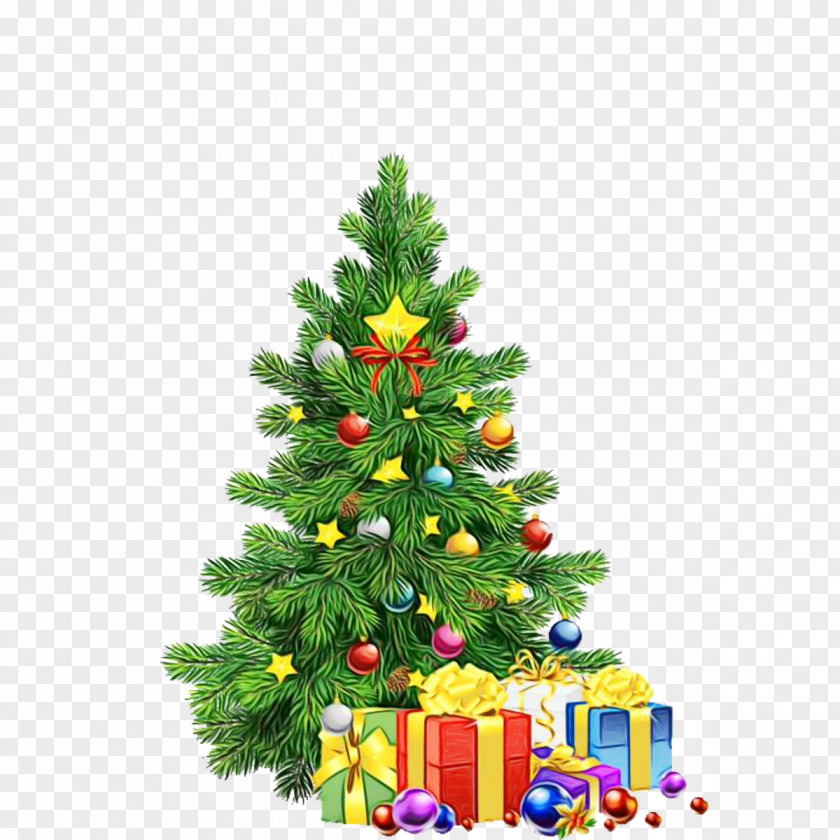 Holiday Ornament Spruce Christmas Tree PNG