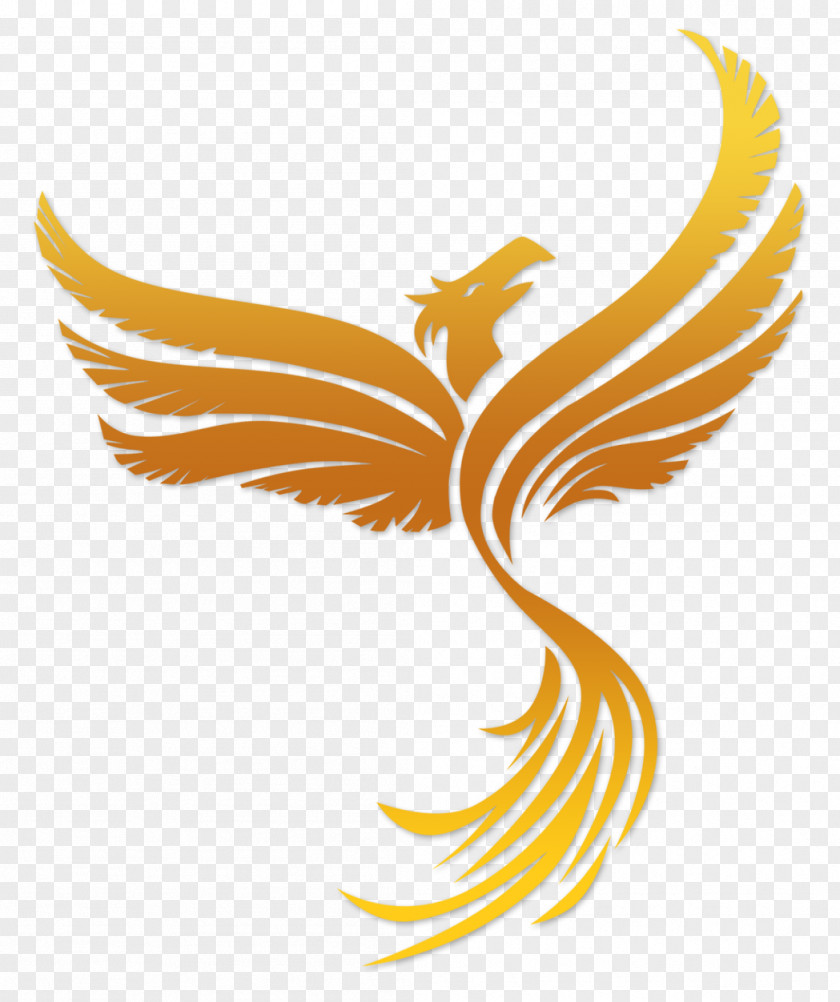 Phoenix Bird Clip Art PNG