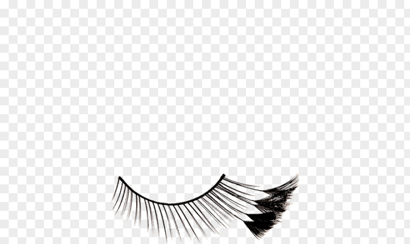 Beautifyl Outer Space Words Eyelash Extensions Cosmetics Kryolan Beauty PNG