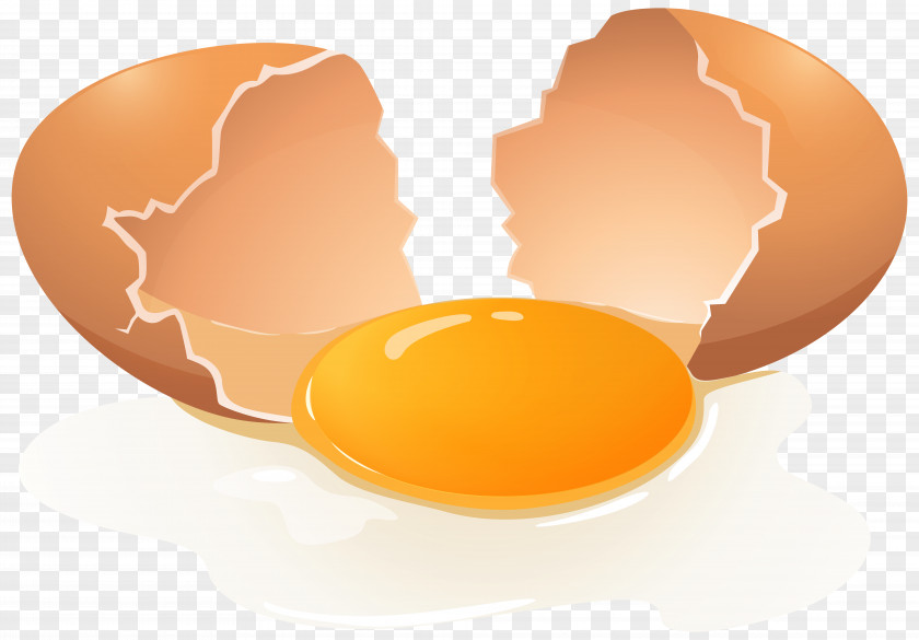 Busted Cliparts Fried Egg Yolk Chicken Clip Art PNG