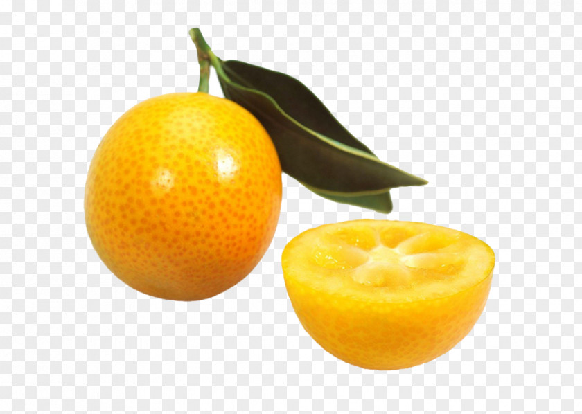 Delicious Lemon Picture Material Clementine Tangerine Volkamer Kumquat PNG