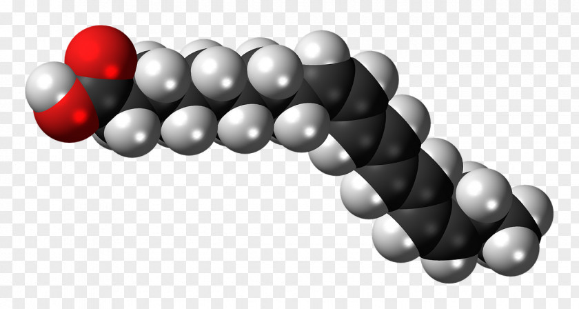 DNA-molecule Alpha-Linolenic Acid Fatty Stearic PNG