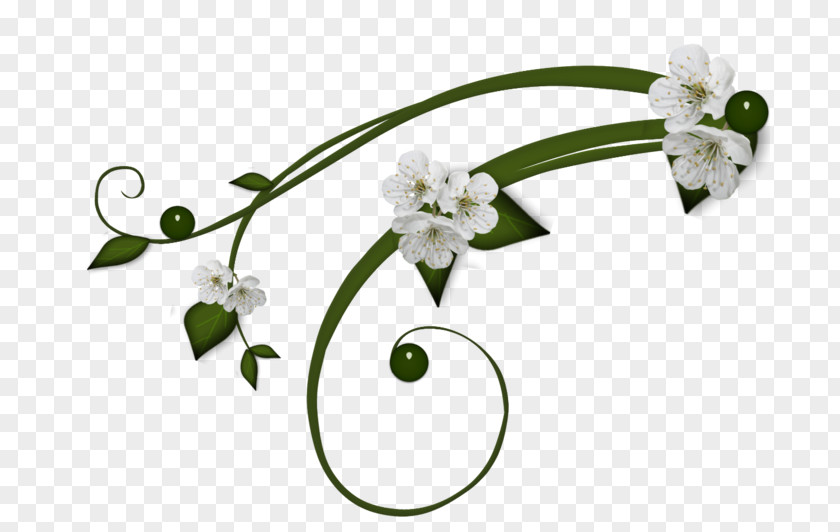 Flower Floral Design Cut Flowers Petal PNG