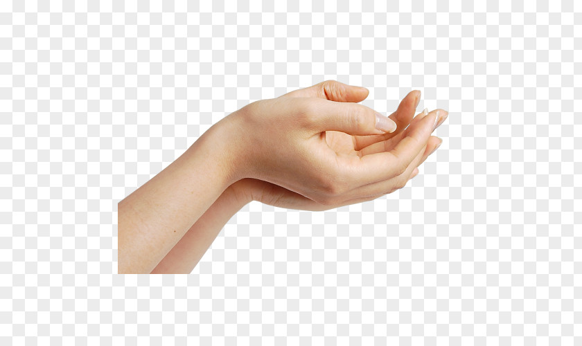 Hand Forearm Finger PNG