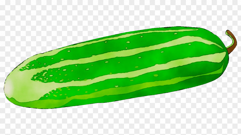 Pickled Cucumber Melon Fruit PNG