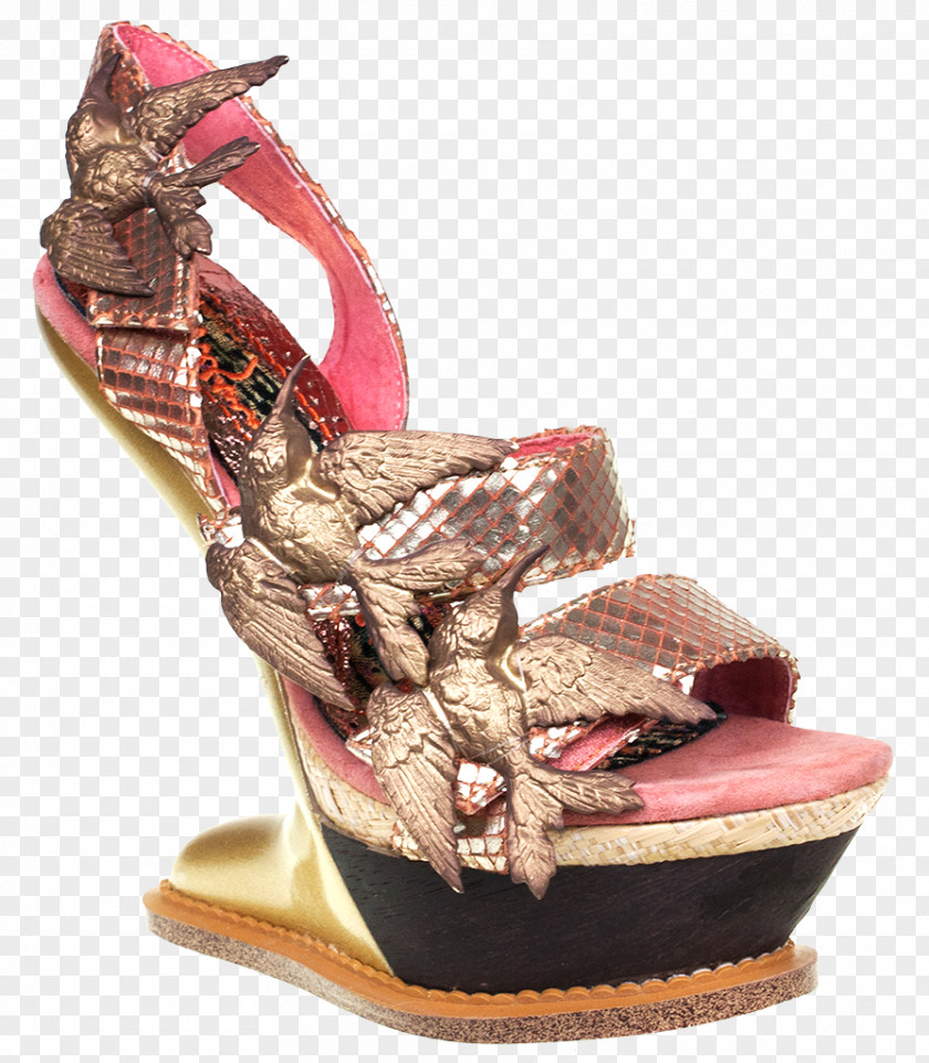 Platform Shoes Sandal High-heeled Shoe PNG