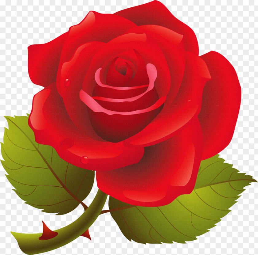 Rose Illust Clip Art PNG