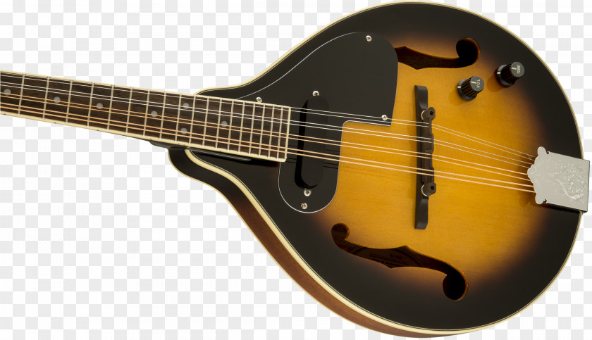 Bass Guitar Acoustic Acoustic-electric Cuatro Violin PNG