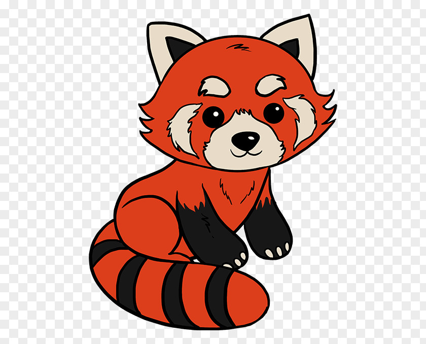 Dog Red Panda Giant Drawing Illustration PNG