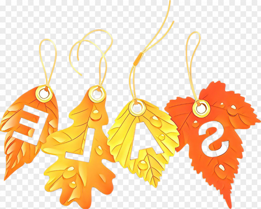 Feather Jewellery Orange PNG