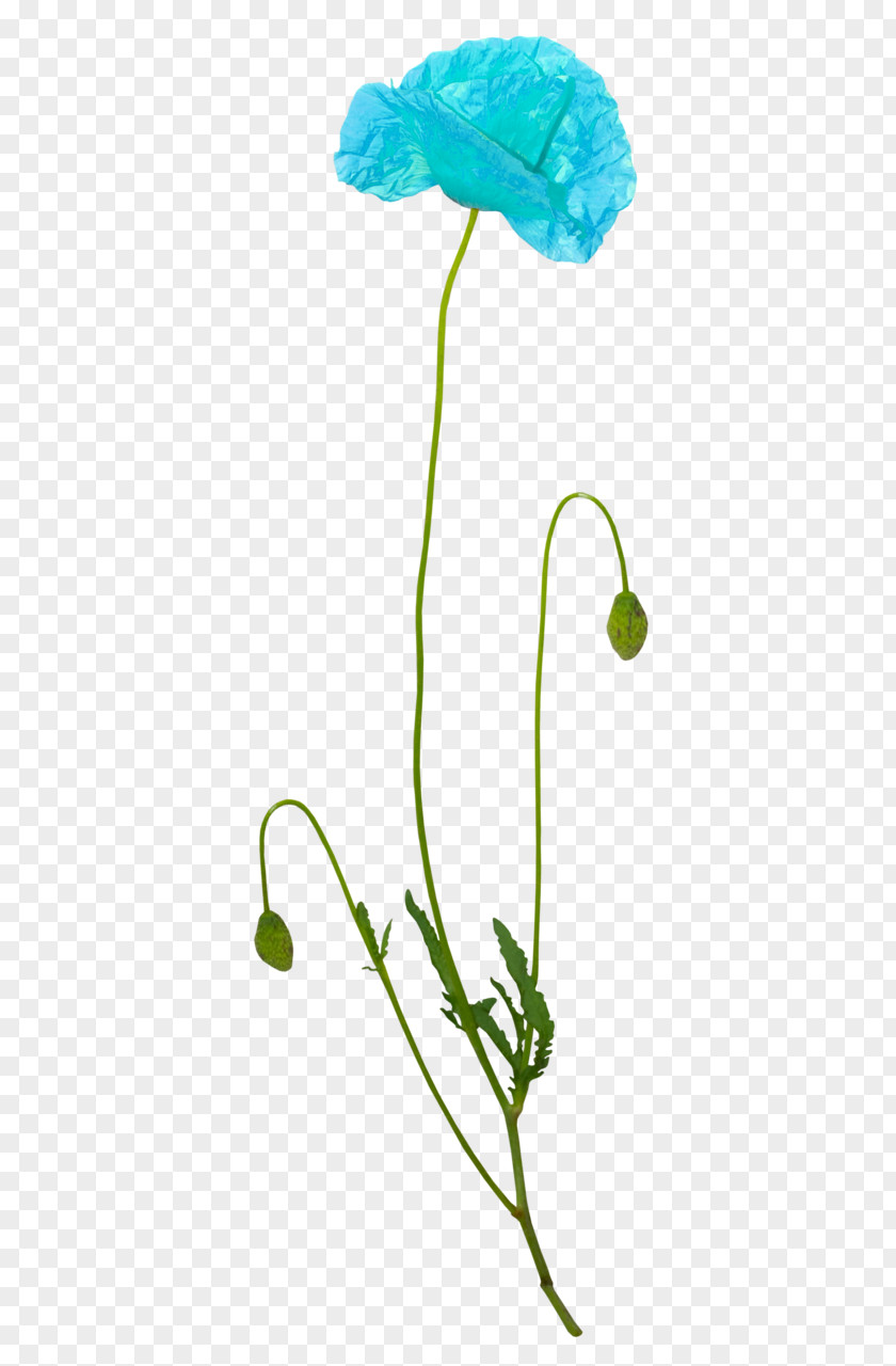Flower Petal Graphic Design Clip Art PNG