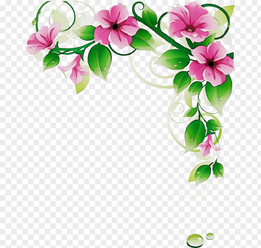 Flower Pink Petal Plant Cut Flowers PNG