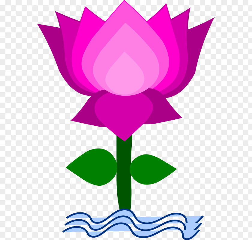 Lotus Blossom Cliparts Nelumbo Nucifera Free Content Clip Art PNG