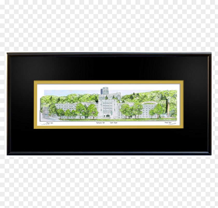 Bowling Green State University Columbus Cougars Men's Basketball Clemson Picture Frames PNG