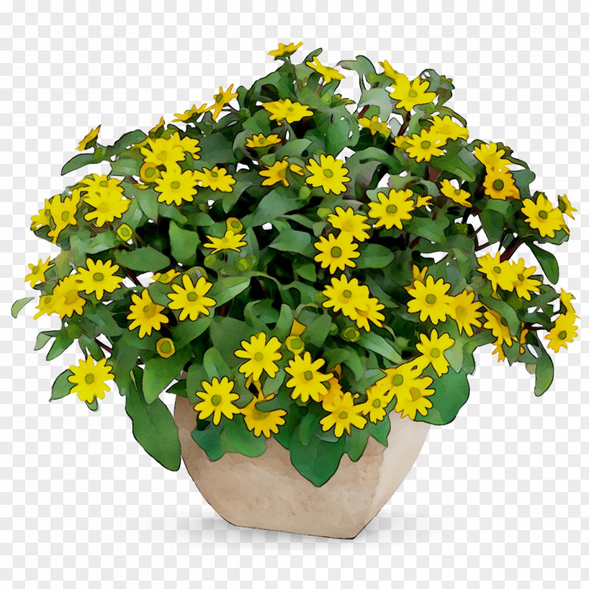 Flowerpot Yellow Houseplant Annual Plant PNG