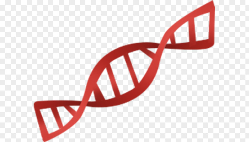 Genetics Genetic Testing Clip Art PNG