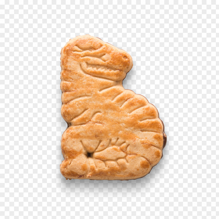 Lotus 49 Pasty Cookie M Biscuits PNG