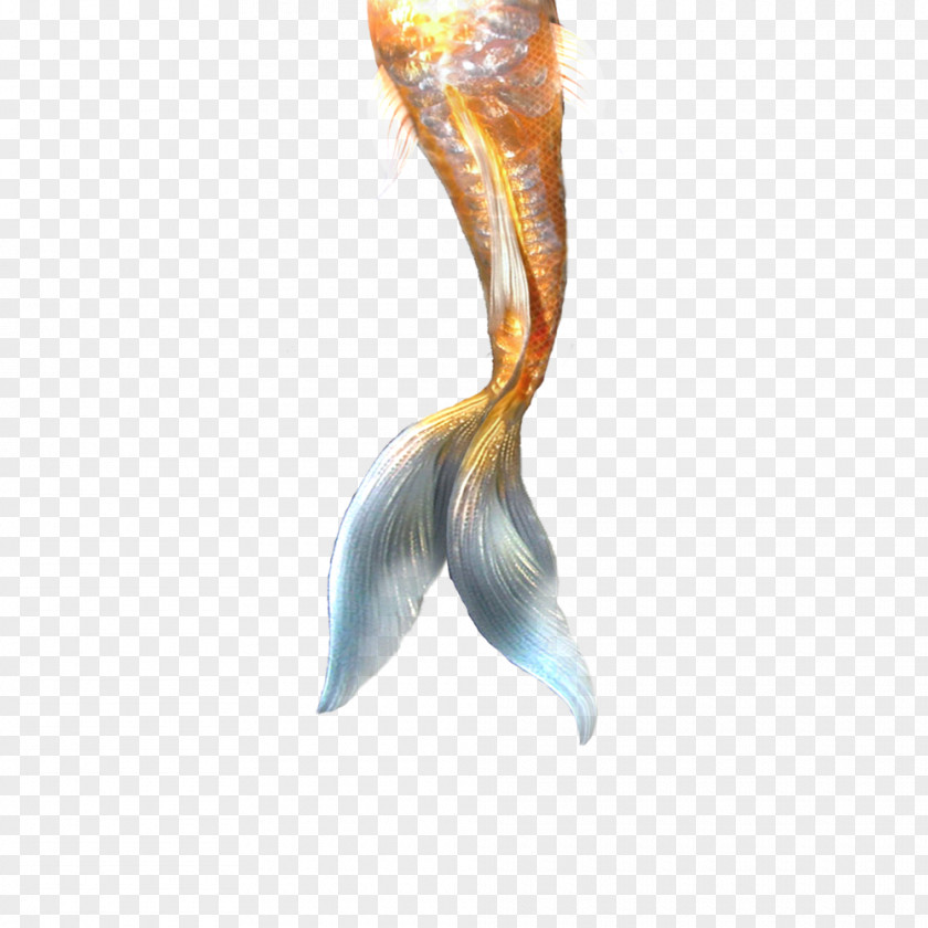 Mermaid Ariel Merliah Summers Tail PNG