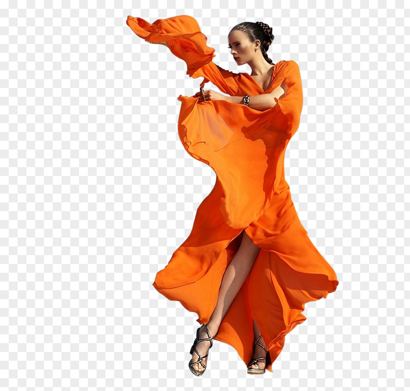 Orange Painting Woman Mrs. PNG