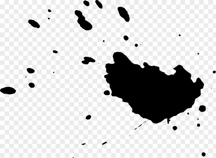 Paint Stroke Black And White Poster PNG