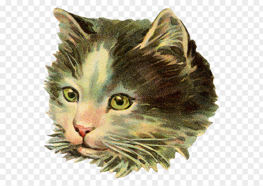 The Dog Illustration Cat Crystal Furs Kitten PNG