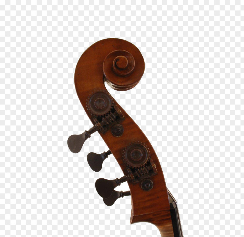 Violin Cello Viola Double Bass PNG