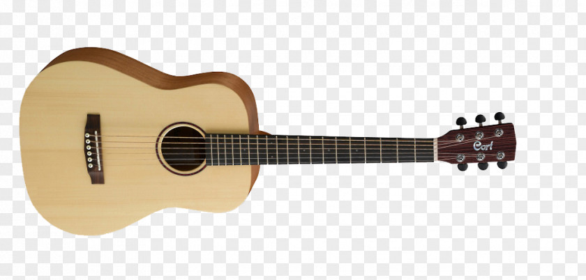 Acoustic Guitar Cort Guitars Twelve-string Musical Instruments PNG