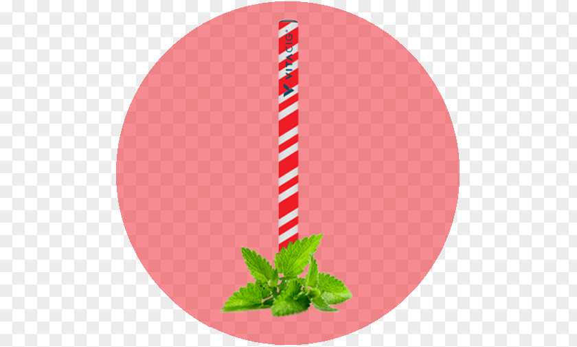 Candy Cane Story Product Leaf Font PNG