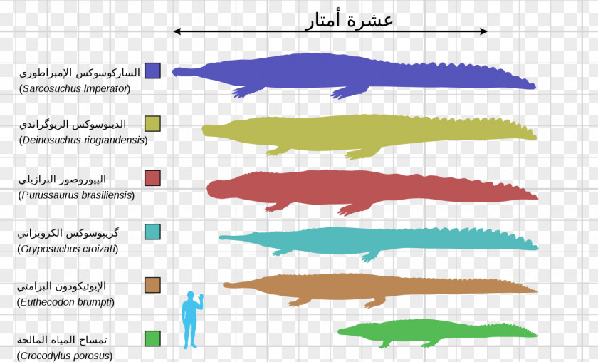 Crocodile Aegisuchus Crocodyliformes Purussaurus Deinosuchus PNG