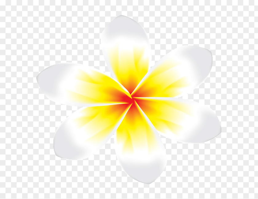 Flower Gardenia Red Frangipani Petal PNG