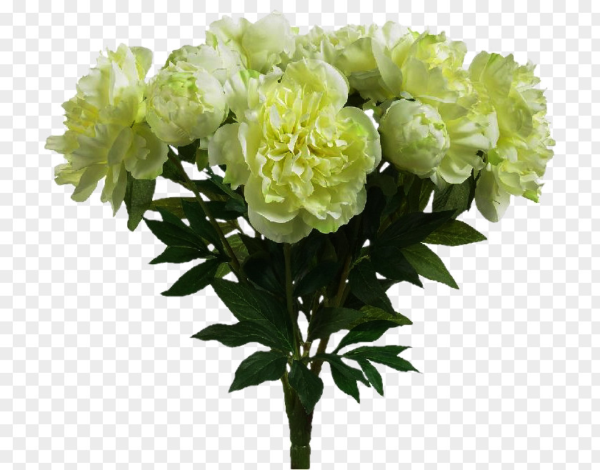Hydrangea Cut Flowers Floral Design Flower Bouquet Adobe Photoshop PNG