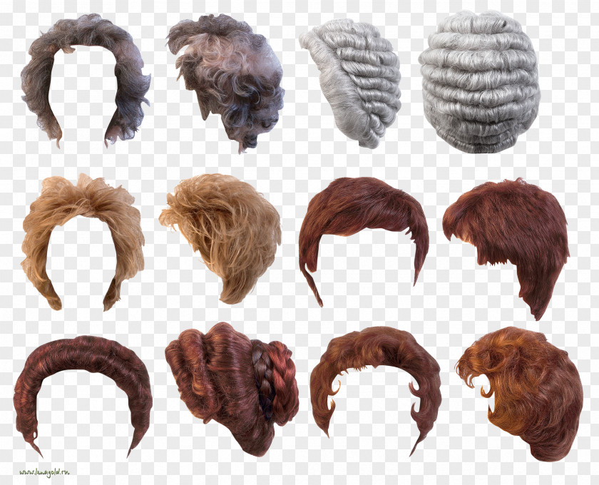 Man Wig 18th Century Woman 19th PNG