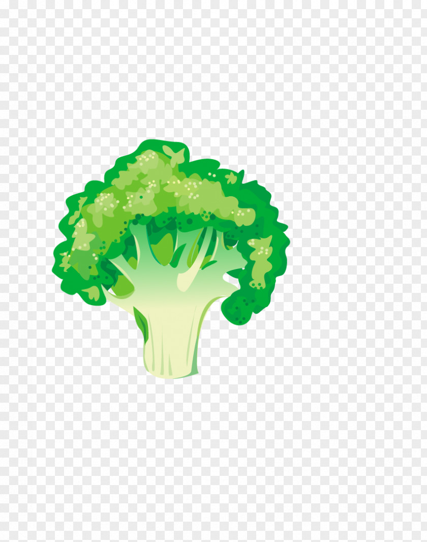 Organic Cauliflower Broccoli Leaf Vegetable Asparagus Food PNG