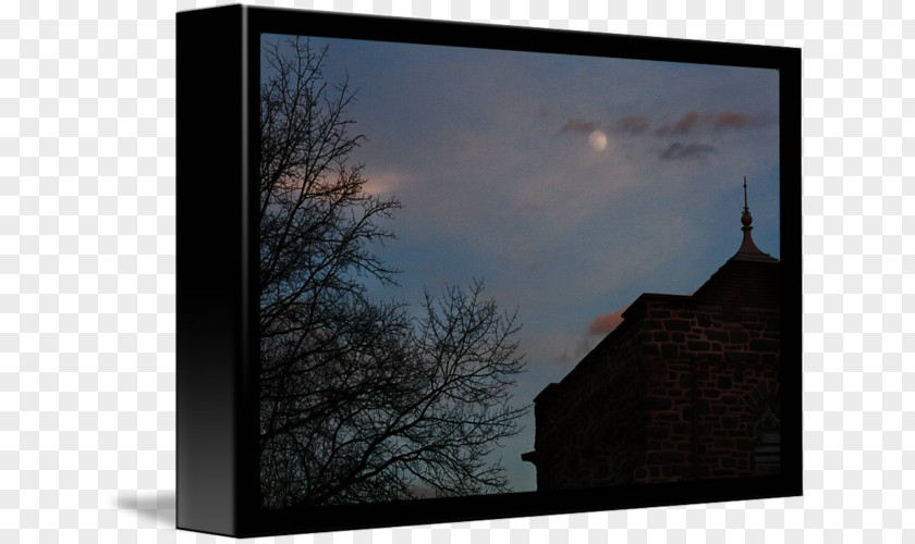 The Seventh Evening Of Moon Window Picture Frames Tree Rectangle Sky Plc PNG