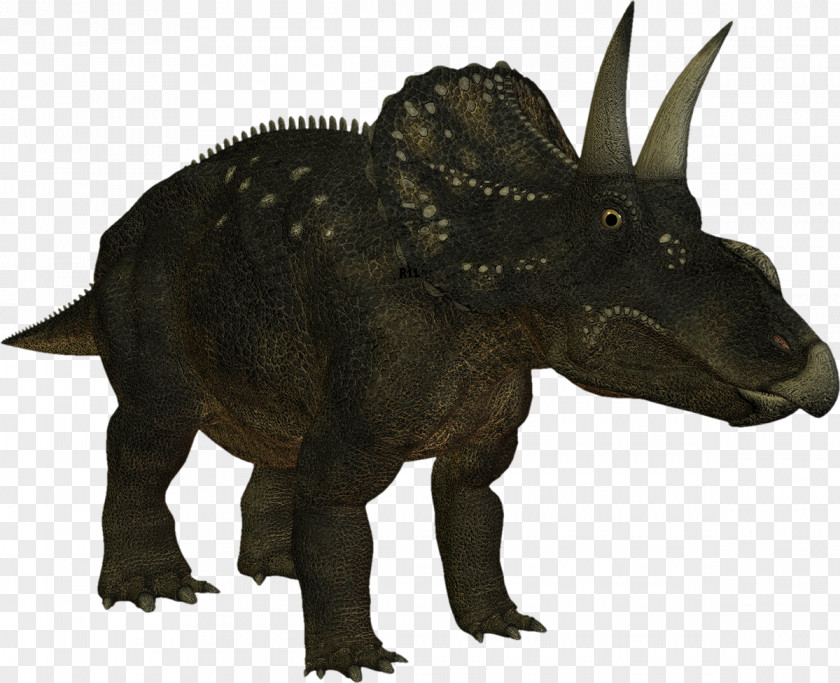 Dinosaur Spinosaurus Tyrannosaurus Triceratops Horridus Ceratopsidae PNG