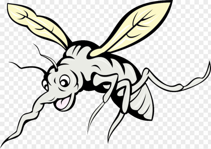 Mosquito Cartoon Royalty-free Illustration PNG
