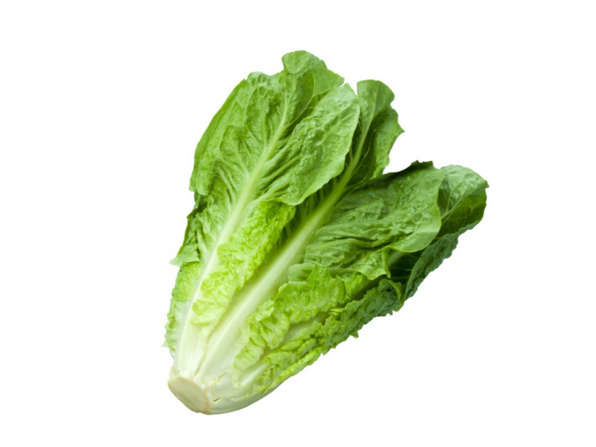 Salad Celtuce Organic Food Romaine Lettuce Caesar Leaf Vegetable PNG