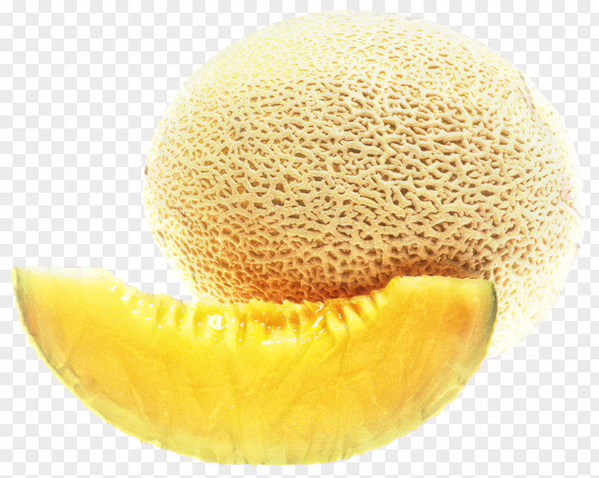 Sponge Pollen Watermelon Background PNG