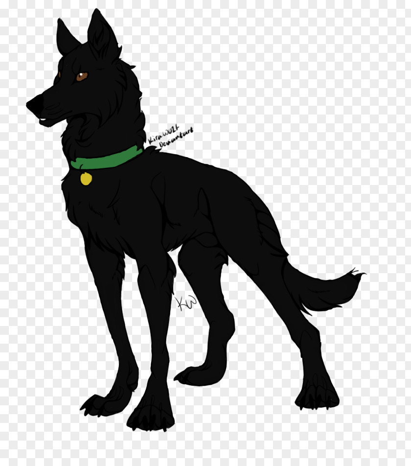 Dog Breed Leash Character PNG