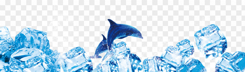 Ice Dolphin Blue Typeface PNG