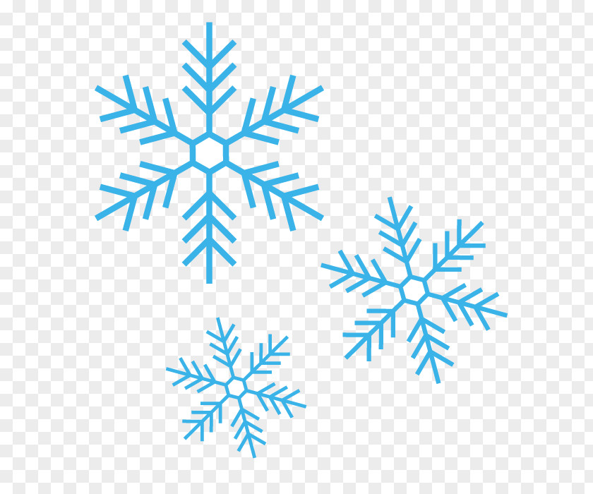 Snow Snowflake Crystal Pikusuta PNG