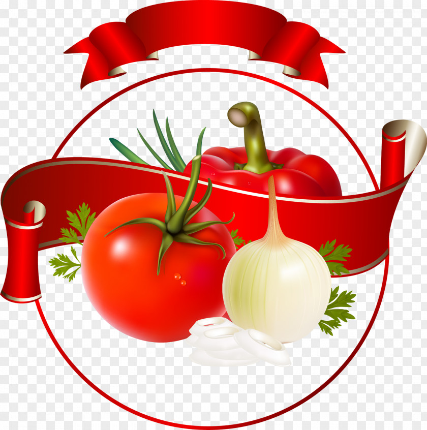 Tomato Vegetable Ketchup Label PNG