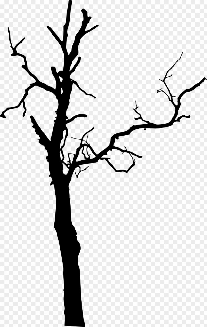 Tree Silhouette Clip Art PNG