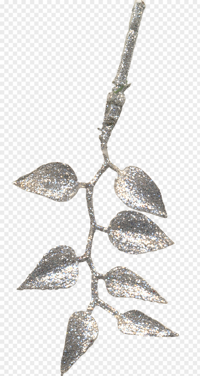 Winter Branches Twig Branch PNG